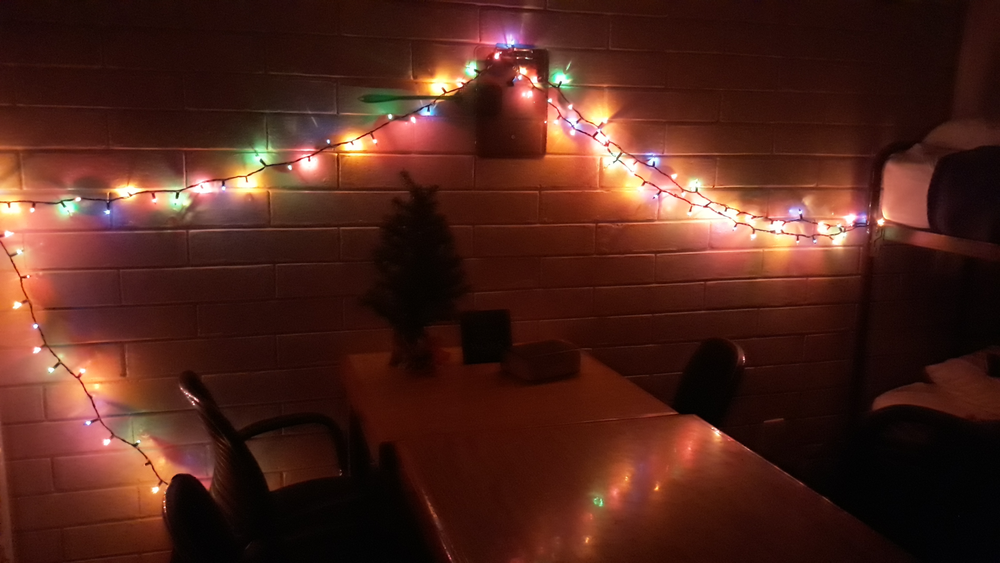 Christmas lights!! (Thanks Mom!)