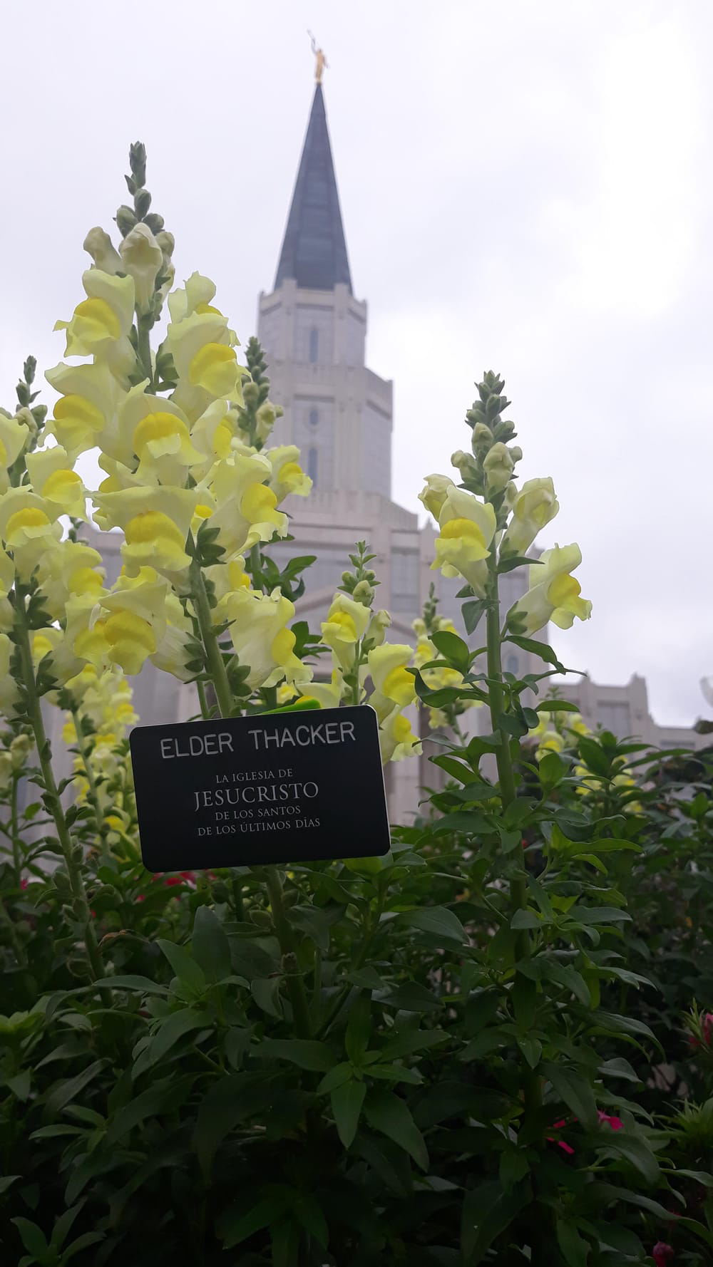 Temple!!